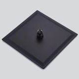 Hoofddouche Slim 30x30cm mat zwart
